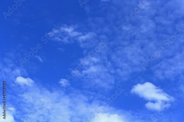 Fototapeta 初夏の空