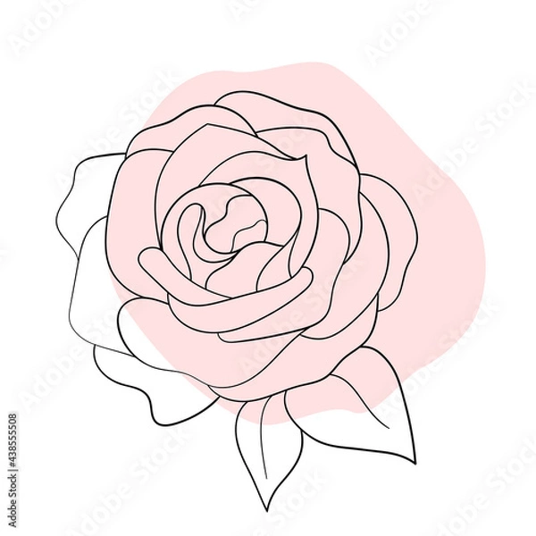 Obraz line black illustration graphics flower rose with colors stains.