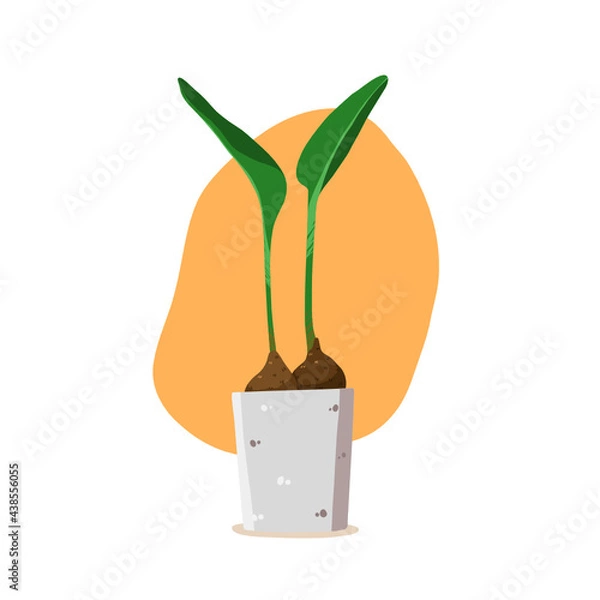 Obraz Potted houseplant vector, an illustration of indoor plant, for house decoration and the garden. Plant isolated in white background in cute cartoon style.