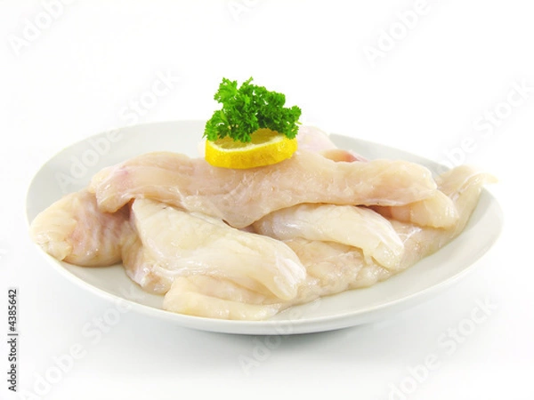 Obraz Filets de lotte / baudroie