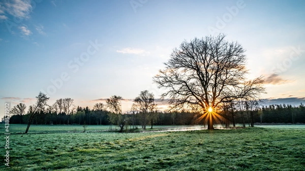 Obraz Sunrise - Highland