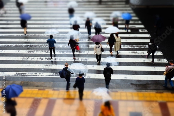 Obraz 雨の日の歩行者