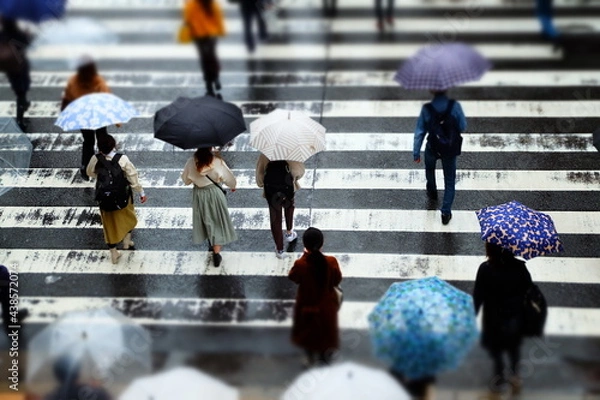 Obraz 雨の日の歩行者