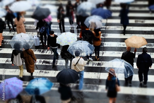 Obraz 雨の日の歩行者