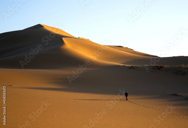 Fototapeta The texture of sand on the Sarykum dune is a desert in Russia, which is the second highest in the world.