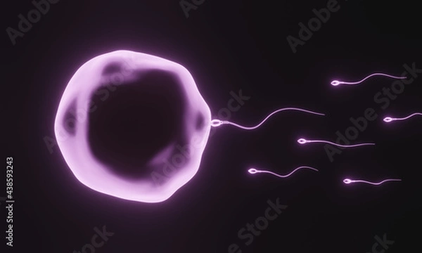Fototapeta 3D rendering. Pink microscopic sperm and egg cell.