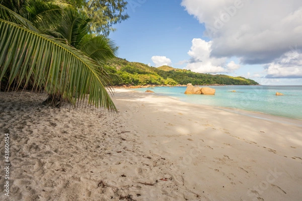 Obraz tropical beach anse lazio on praslin on the seychelles