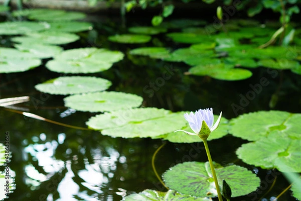 Obraz OLYMPUS DIGITAL CAMERA