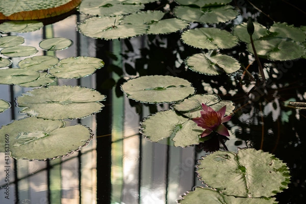 Obraz OLYMPUS DIGITAL CAMERA