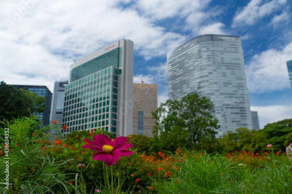 Obraz OLYMPUS DIGITAL CAMERA