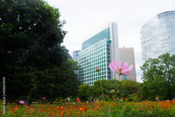 Obraz OLYMPUS DIGITAL CAMERA