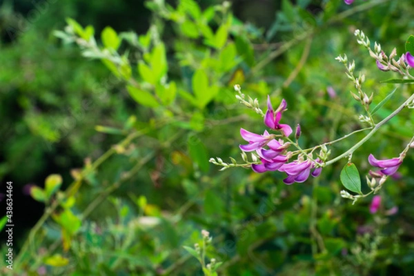 Obraz OLYMPUS DIGITAL CAMERA