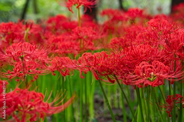 Obraz OLYMPUS DIGITAL CAMERA