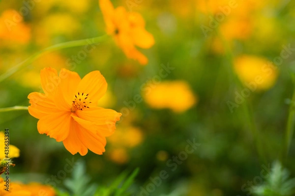 Obraz OLYMPUS DIGITAL CAMERA