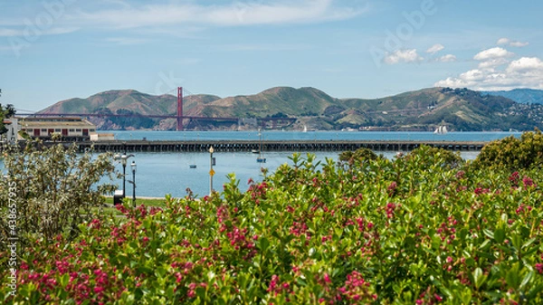 Obraz GoldenGate_pan