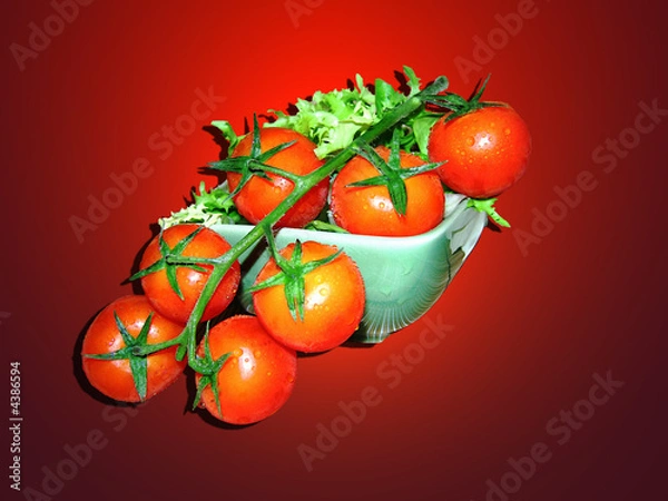 Obraz Red Tomatoes