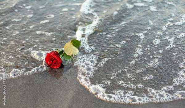 Obraz Rose do widzenia