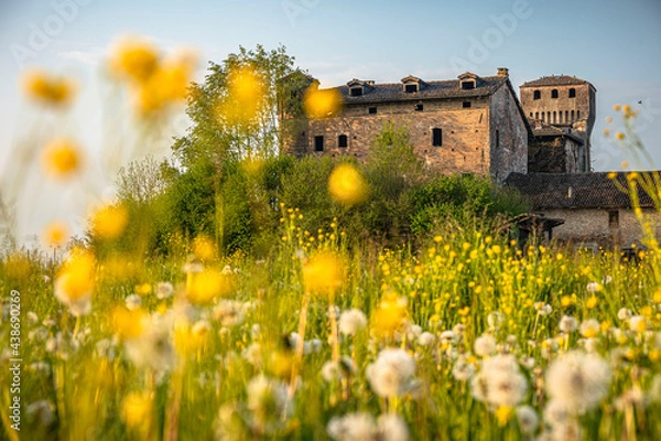 Obraz Castle in the spring