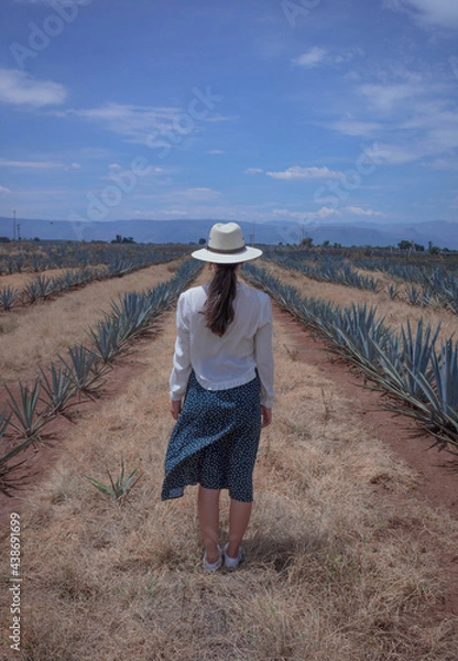 Fototapeta Perdida en Tequila