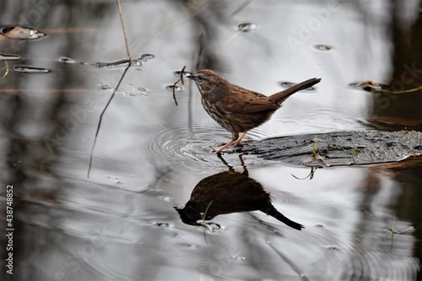 Obraz Standing Still 