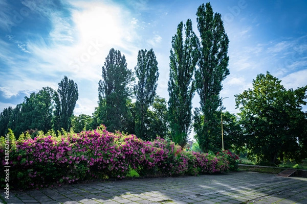 Obraz beautiful scenery