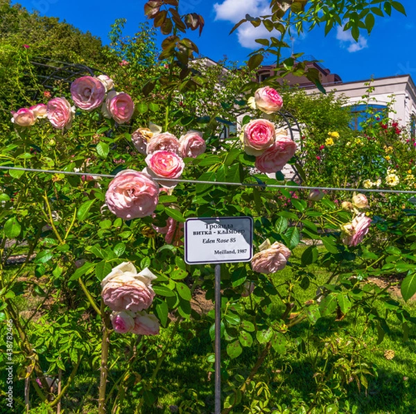 Obraz Beautiful landscapes