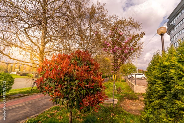 Obraz Beautiful landscapes