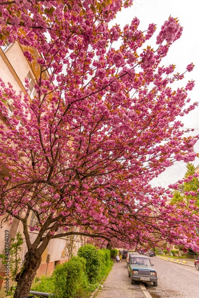 Obraz Beautiful landscapes