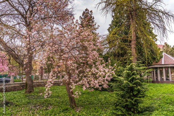 Obraz Beautiful landscapes