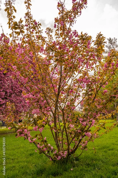 Obraz Beautiful landscapes