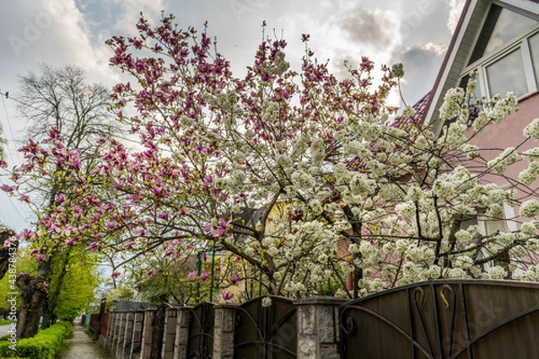 Obraz Beautiful landscapes