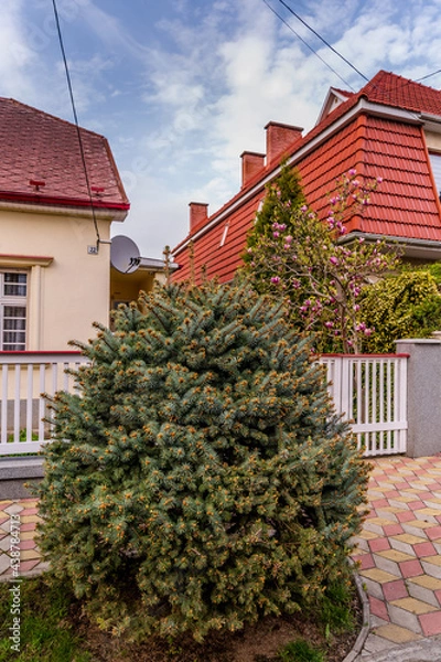 Obraz Beautiful landscapes