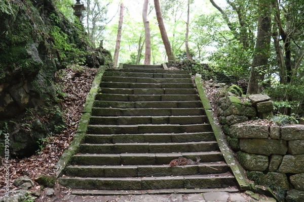 Obraz 鳳来寺山の岩階段を撮影