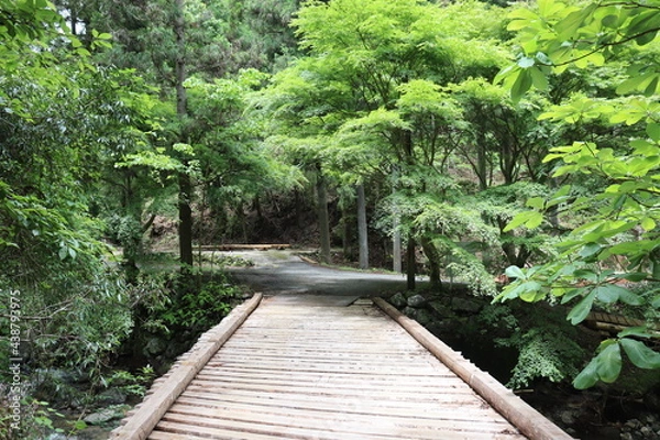 Obraz 山の様々な風景を紹介