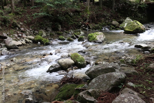 Obraz 日本の山奥にある川を撮影