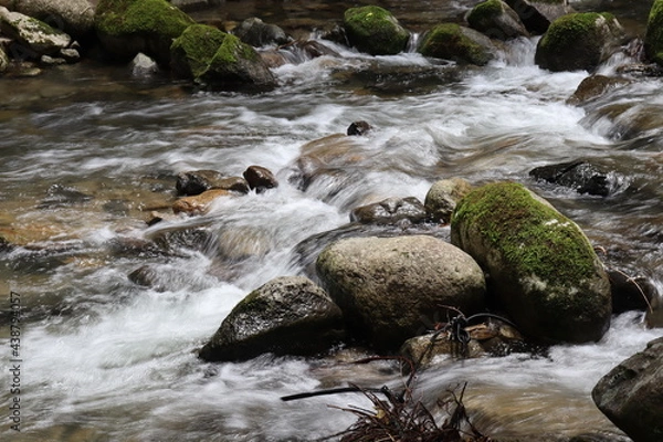 Obraz 日本の山奥にある川を撮影