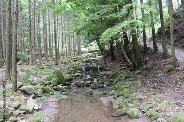 Obraz 山奥の綺麗な自然の景色