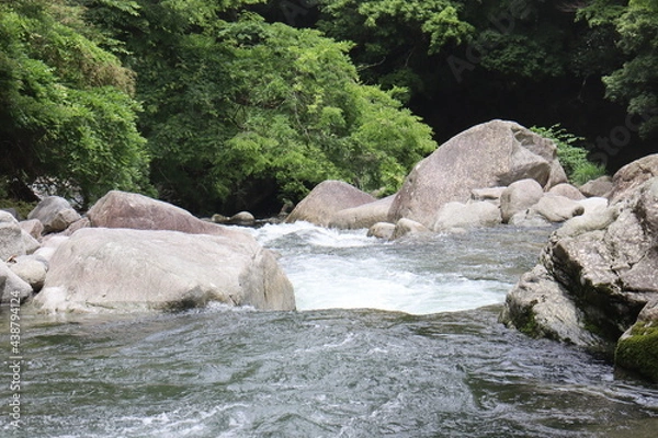 Obraz 日本の山奥にある川を撮影
