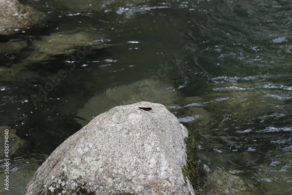 Obraz 日本の山奥にある川を撮影