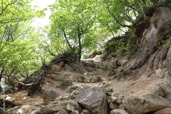 Obraz 山奥の綺麗な自然の景色