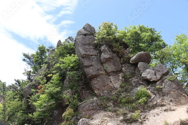 Obraz 日本の山で綺麗な植物と空を撮影