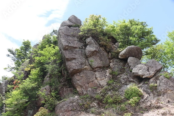 Obraz 日本の山で綺麗な植物と空を撮影