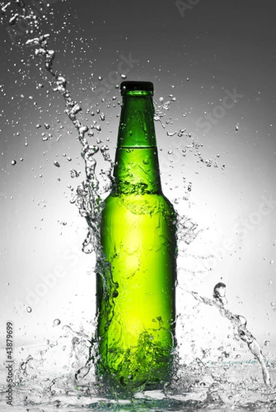 Obraz Beer bottle with water splash