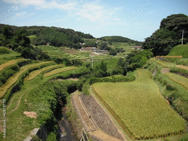 Fototapeta 谷の棚田 山口県
