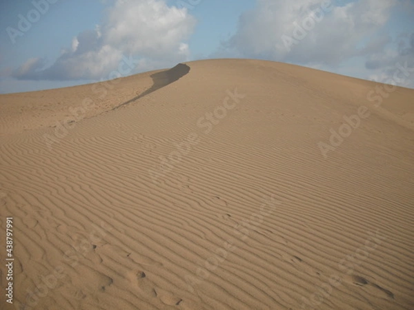 Fototapeta 鳥取砂丘