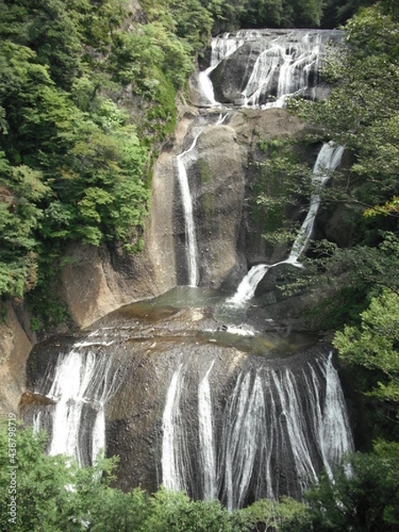 Fototapeta 袋田の滝　夏　全景