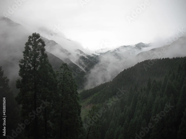 Fototapeta 山林と霧