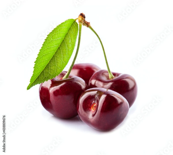 Obraz Ripe cherry with leaves