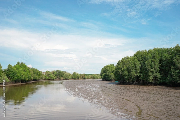 Fototapeta Landscape photo; The green mangrove forest and swamp with refection in the sea and blue sky, Greenery Nature and Save Earth background concept