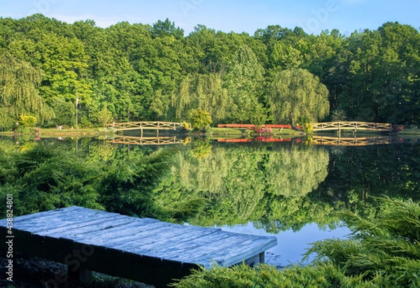 Obraz Bench by a lake in the forest 
